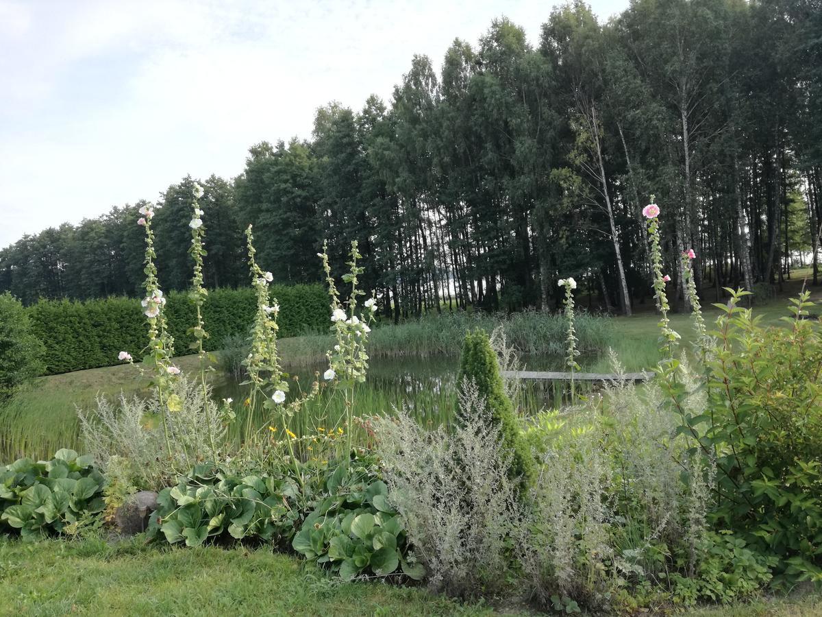 Lakeshore House Dvarcenai  Zewnętrze zdjęcie